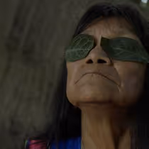 THE HUMMINGBIRD PAINTS FRAGRANT SONGS to Open DOC NYC 2026