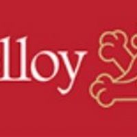 Molloy College to Host Poetry Event Featuring Carmen Bugan