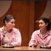 Review: THE FUTURE IS FEMALE at Flint Repertory Theatre