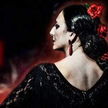 Ensemble Español Spanish Dance Theater Returns To The North Shore Center With FLAMEN