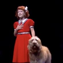Video: Hazel Vogel Performs 'Tomorrow' from ANNIE on THE VIEW
