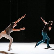 NYU Skirball to Present North American Premiere of Meg Stuart|Damaged Goods' VIOLET Interview