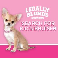 Starlight Searches For Kansas City's Bruiser Woods To Star In LEGALLY BLONDE The…