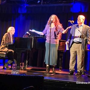 Review: THE NEW DECAMERON: SONGWRITERS IN LOCKDOWN at The Triad Theater