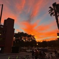 Student Blog: Burnt from Burnout