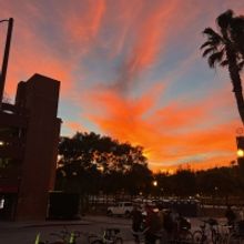 Student Blog: Burnt from Burnout