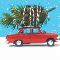 BWW Review: THE LAST NOËL, Clapham Library