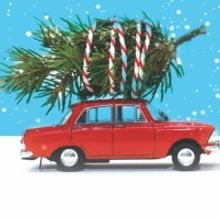 BWW Review: THE LAST NOËL, Clapham Library