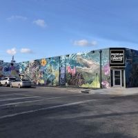 The Museum Of Graffiti, A New Contemporary Art Museum, To Open In Miami