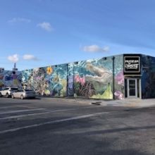 The Museum Of Graffiti, A New Contemporary Art Museum, To Open In Miami