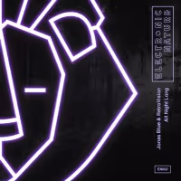Jonas Blue and RetroVision Join Forces on New Song 'All Night Long' Video