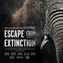 American Humane Announces U.S. Theatrical Run for Inaugural Feature Length Documentar