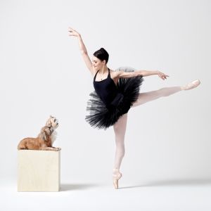 Dance For Paws To Host GRACE TO THE RESCUE Inaugural Gala To Benefit Homeless Animals Interview