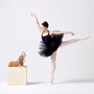 Dance For Paws To Host GRACE TO THE RESCUE Inaugural Gala To Benefit Homeless…