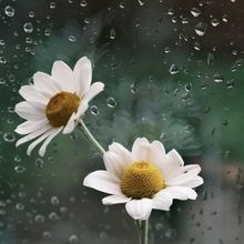 Student Blog: April Showers Bring Late Hours