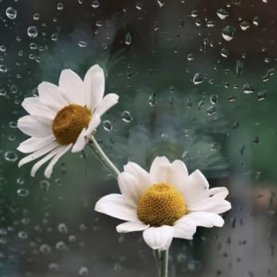 Student Blog: April Showers Bring Late Hours