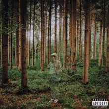 Grandson Announces Vinyl Release for 'I Love You, I'm Trying'