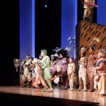 VIDEO: THE LION KING Tour Celebrates 20 Years on the Road