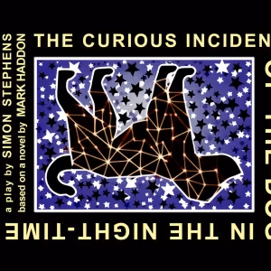 Cast Set for THE CURIOUS INCIDENT OF THE DOG IN THE NIGHT-TIME at Belfast Maskers
