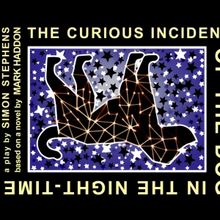 Cast Set for THE CURIOUS INCIDENT OF THE DOG IN THE NIGHT-TIME at Belfast Maskers