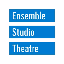 BEYOND WORDS and LUCKY/BIRD Set for Ensemble Studio Theatre 58th Season