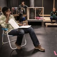 Previews for The Public Theater and NBT's FAT HAM to Begin Next Week