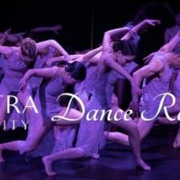 Amanda Selwyn Dance Theatre Receives Hofstra University Dance Residency