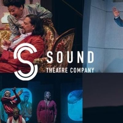 Sound Theatre Company Unveils Cast of YOU WILL GET SICK