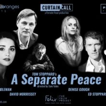 David Morrissey, Denise Gough and More to Headline Tom Stoppard's A SEPARATE PEACE Vi