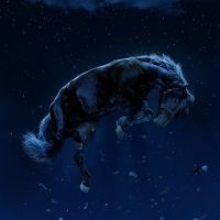 Photo: Universal Debuts New Poster for Jordan Peele's NOPE