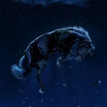 Photo: Universal Debuts New Poster for Jordan Peele's NOPE