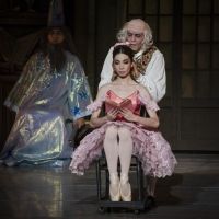 Tras 7 Años De Ausencia, Vuelve El Ballet Coppélia Al Palacio De Bellas Artes