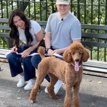 Exclusive: SIX's Krystal Hernandez Cuddles up with Her Broadway Pet, Reina