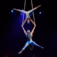 Cirque du Soleil to Return to Frisco With OVO