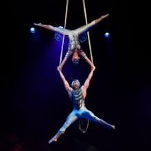 Cirque du Soleil to Return to Frisco With OVO