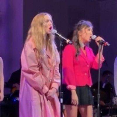 VIDEO: Amanda Seyfried And Ashley Park Put A MEAN GIRLS Spin On A Pop Duet