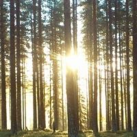 Members Of New York Choral Society Reunite For First Live Recording Since COVID To Pr Interview