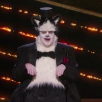 VIDEO: James Corden and Rebel Wilson Present at the Oscars While Dressed as Cats Video