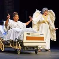 Liz Mikel Celebrates 30th Anniversary With Dallas Theater Center