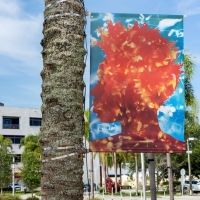 Museum of Contemporary Art, North Miami to Present 'After the Rain Comes Light…