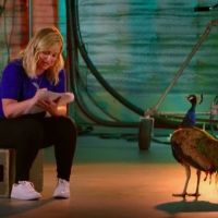 VIDEO: NBC Releases 'Peacock Knows Comedy' Featurette