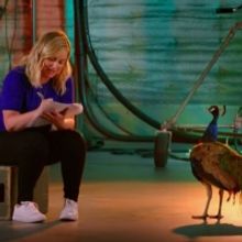 VIDEO: NBC Releases 'Peacock Knows Comedy' Featurette