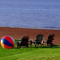 SIP AND SNACK-Summer Guide for Tasty Foods and Refreshment