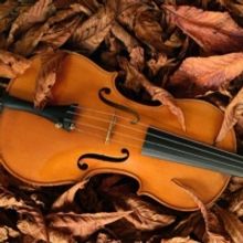 UW-Green Bay's 6:30 Concert Series Welcomes Audiences Back With A Varied Trio