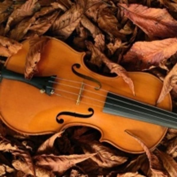 UW-Green Bay's 6:30 Concert Series Welcomes Audiences Back With A Varied Trio Photo