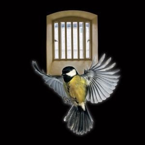 La MaMa Presents PRISONER AT THE WORLD'S END by R.Johns