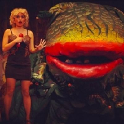 BWW Readers Name Their Favorite High School Theatre Roles!