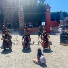 Con Cerca De 20 Mil Visitantes Concluyó La Exposición Maderas Musicales En El Centr