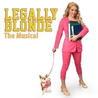 Gainesville Theatre Alliance Presents LEGALLY BLONDE: THE MUSICAL in An Era Of…