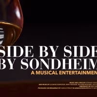 The Repertory Theatre Of St. Louis to Kick Off The New Year With SIDE BY SIDE BY…